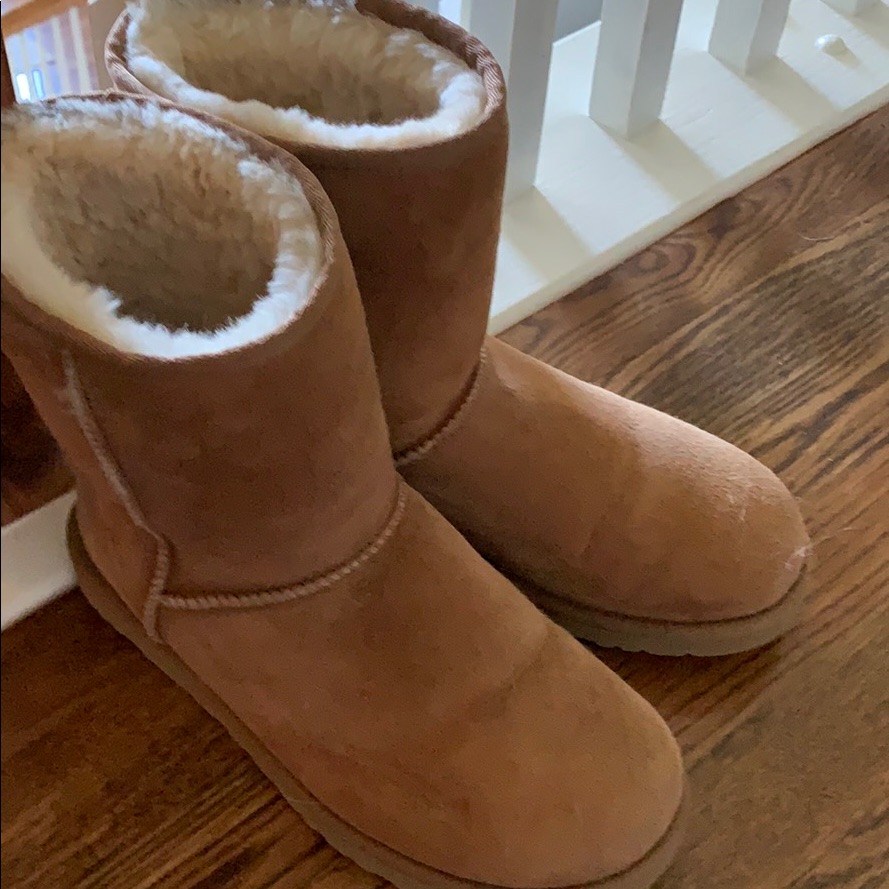 Chestnut Uggs